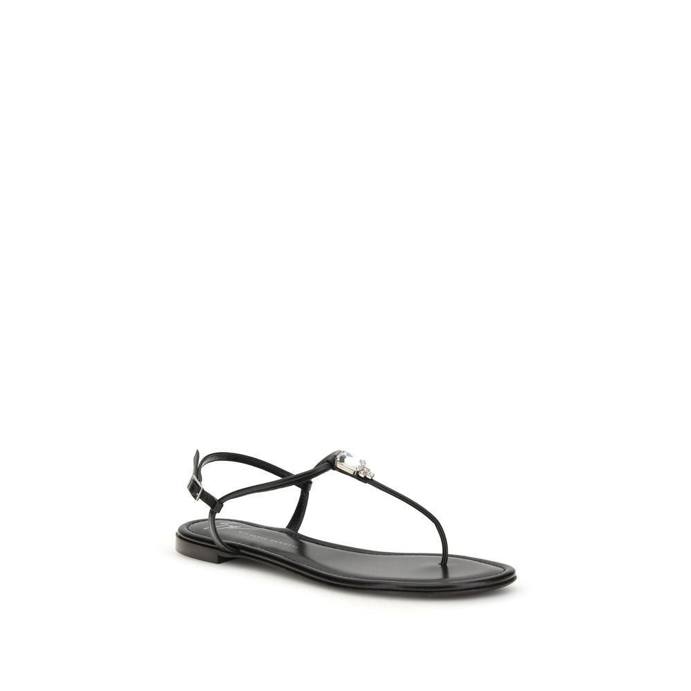 Giuseppe Zanotti Black Calf Leather Bos Taurus Flat Sandals | Regal Royce