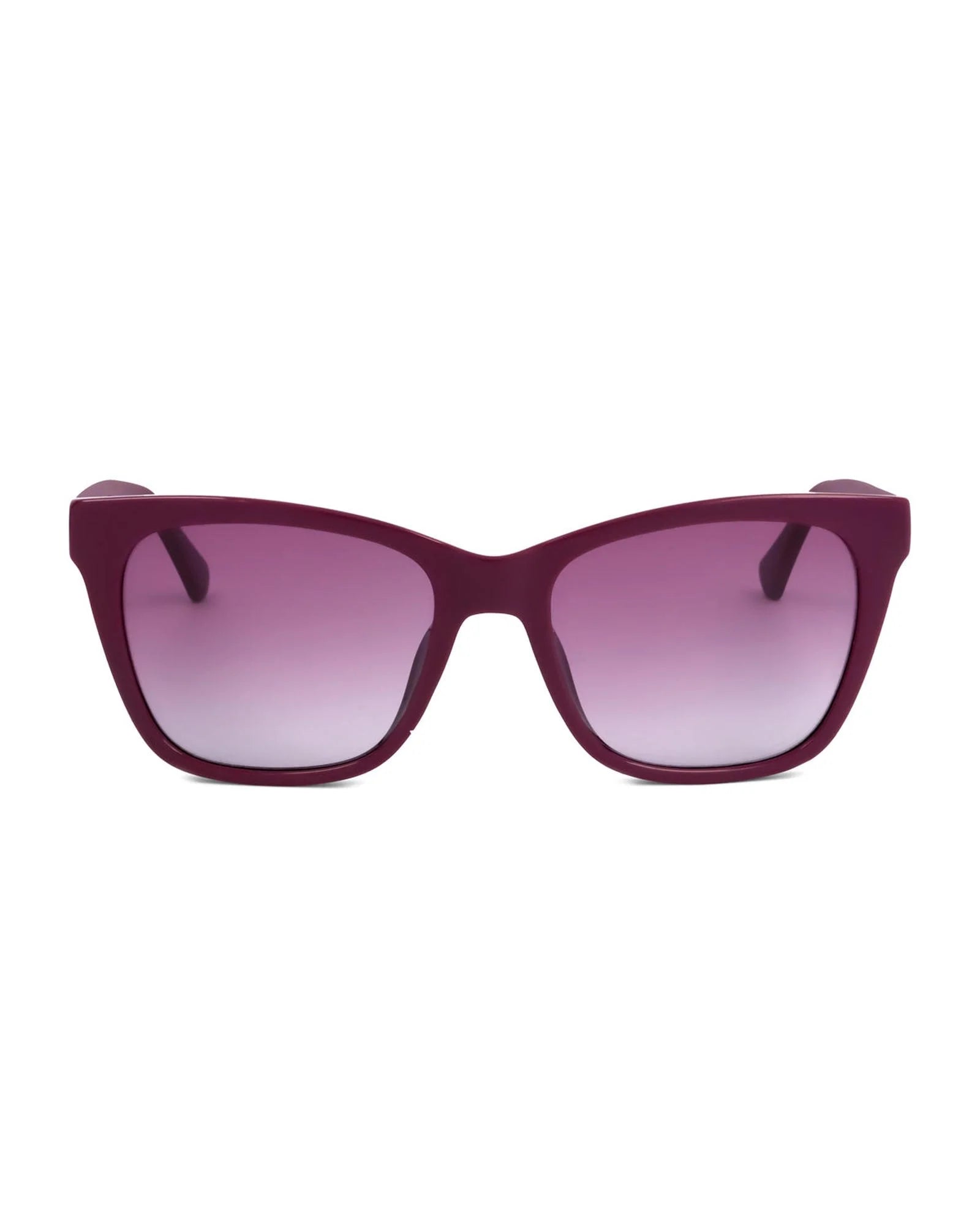 Calvin Klein Purple Plastic Sunglasses | Regal Royce