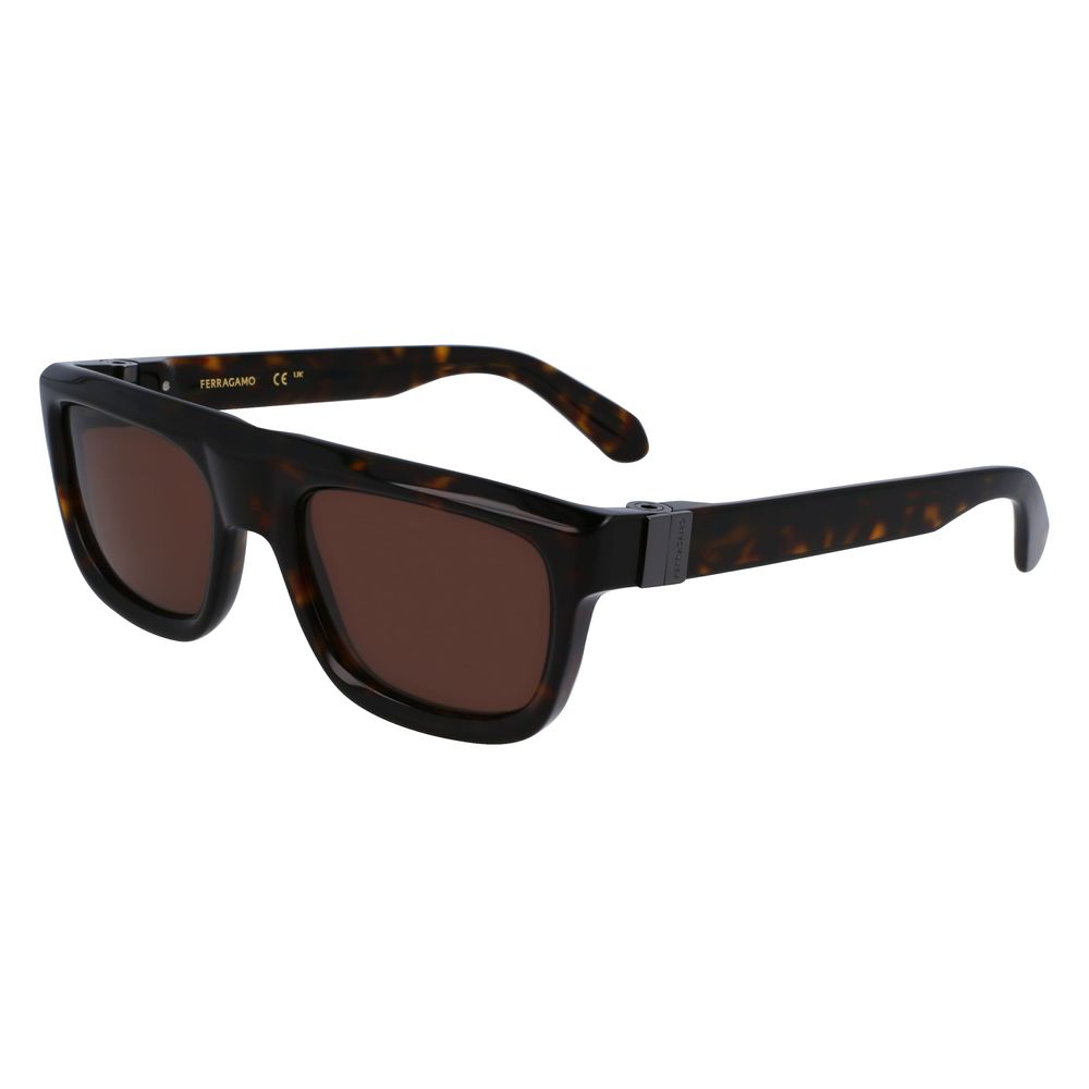 Ferragamo Brown Acetate Sunglasses | Regal Royce