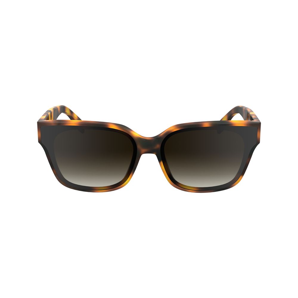 Karl Lagerfeld Brown Acetate Sunglasses | Regal Royce