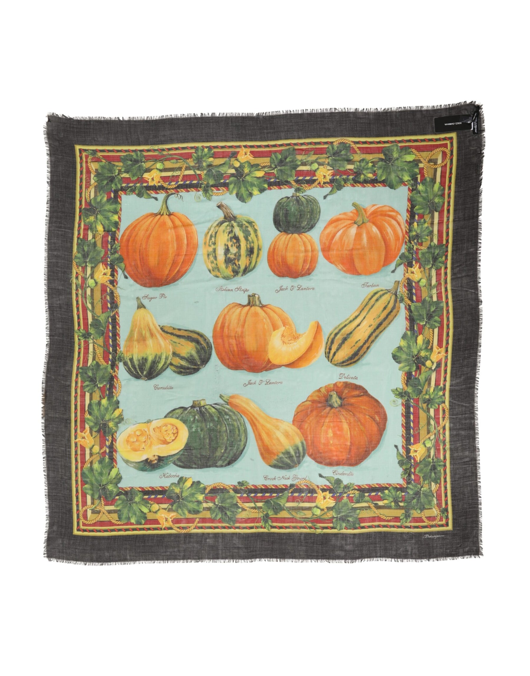 Dolce & Gabbana Multicolor Pumpkin Cashmere Stole 137cm x 133cm  Scarf | Regal Royce