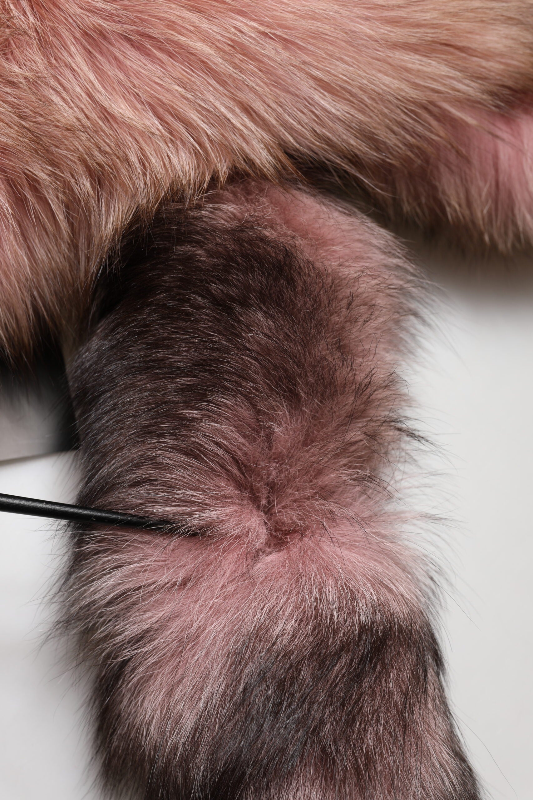 Dolce & Gabbana Pink Frost Fox Fur Neck Warmer Winter 120cm x 27cm Scarf | Regal Royce