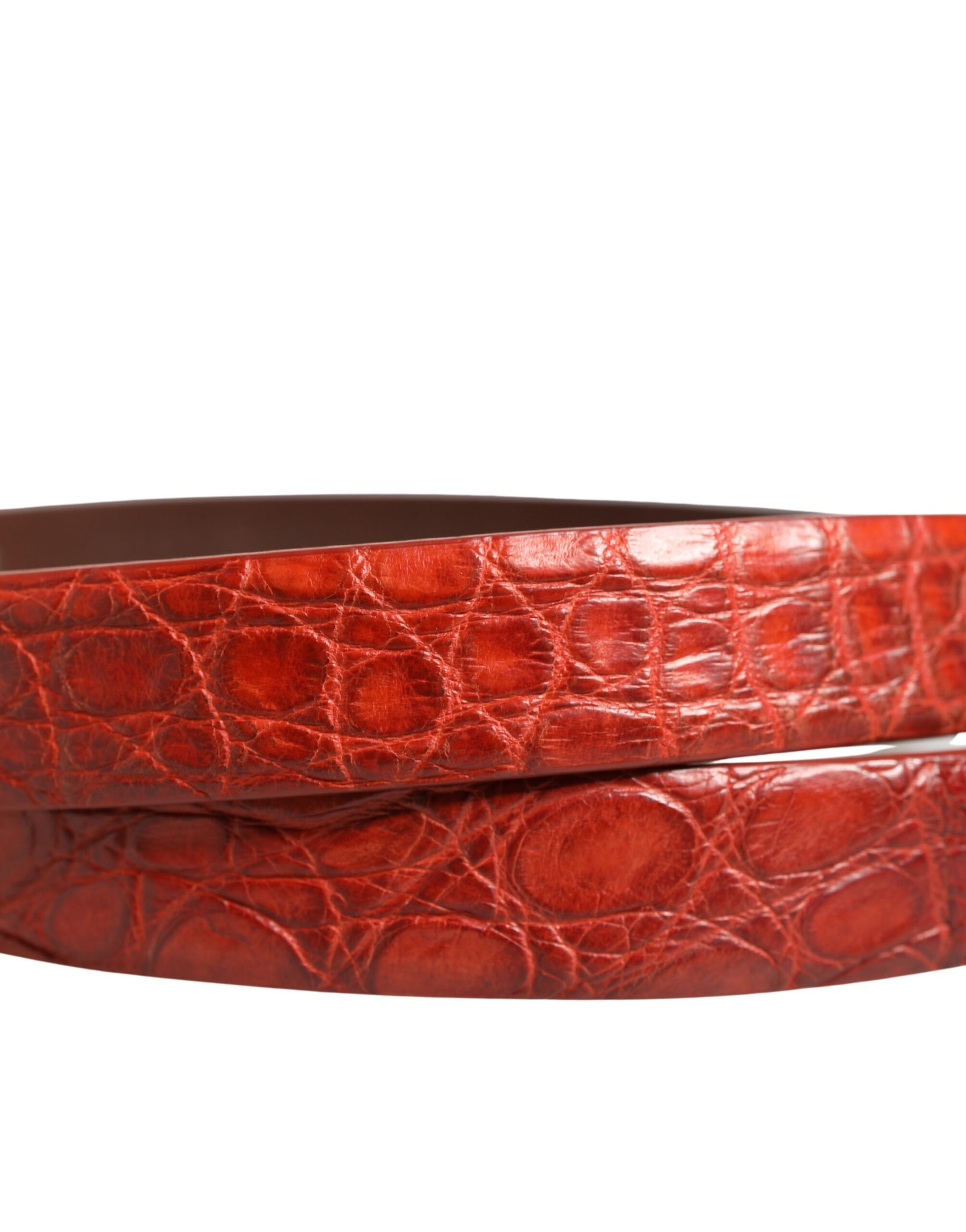 Dolce & Gabbana Red Leather Gold Tone Metal Buckle Men Belt | Regal Royce
