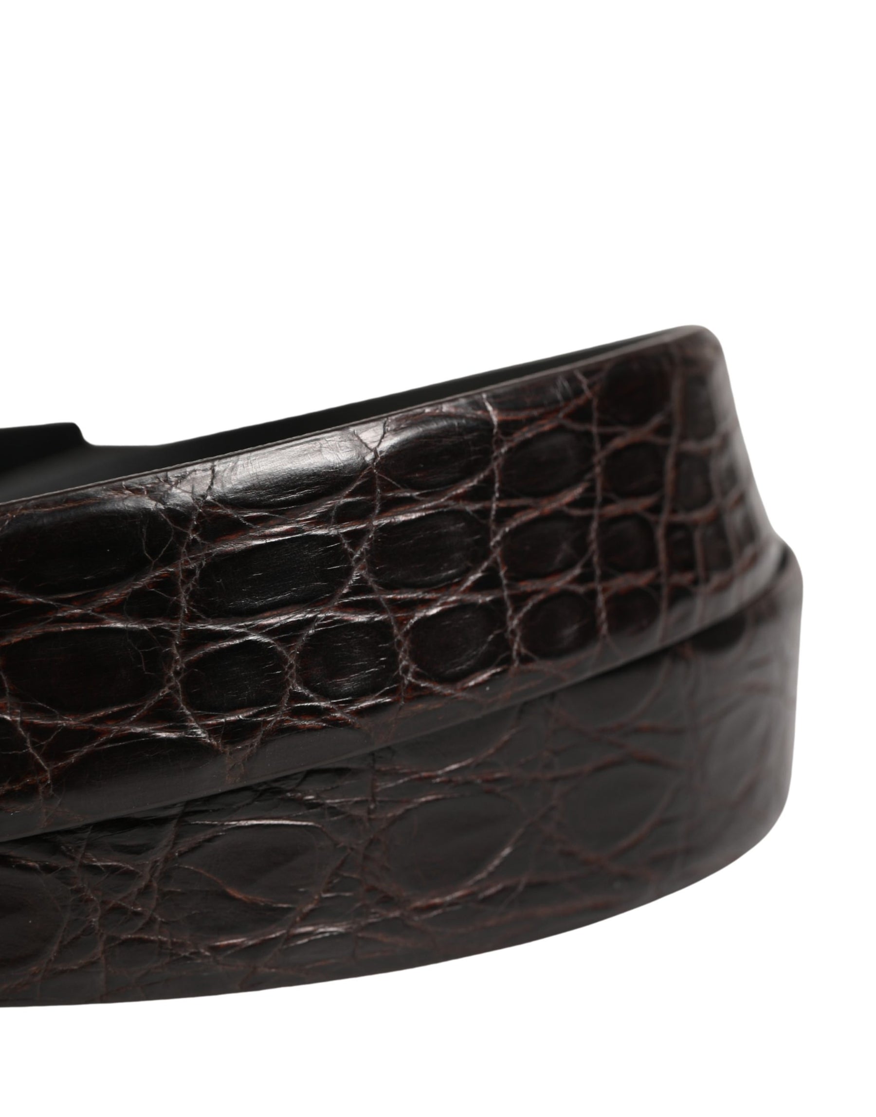 Dolce & Gabbana Men Black Exotic Leather Logo Buckle Belt | Regal Royce
