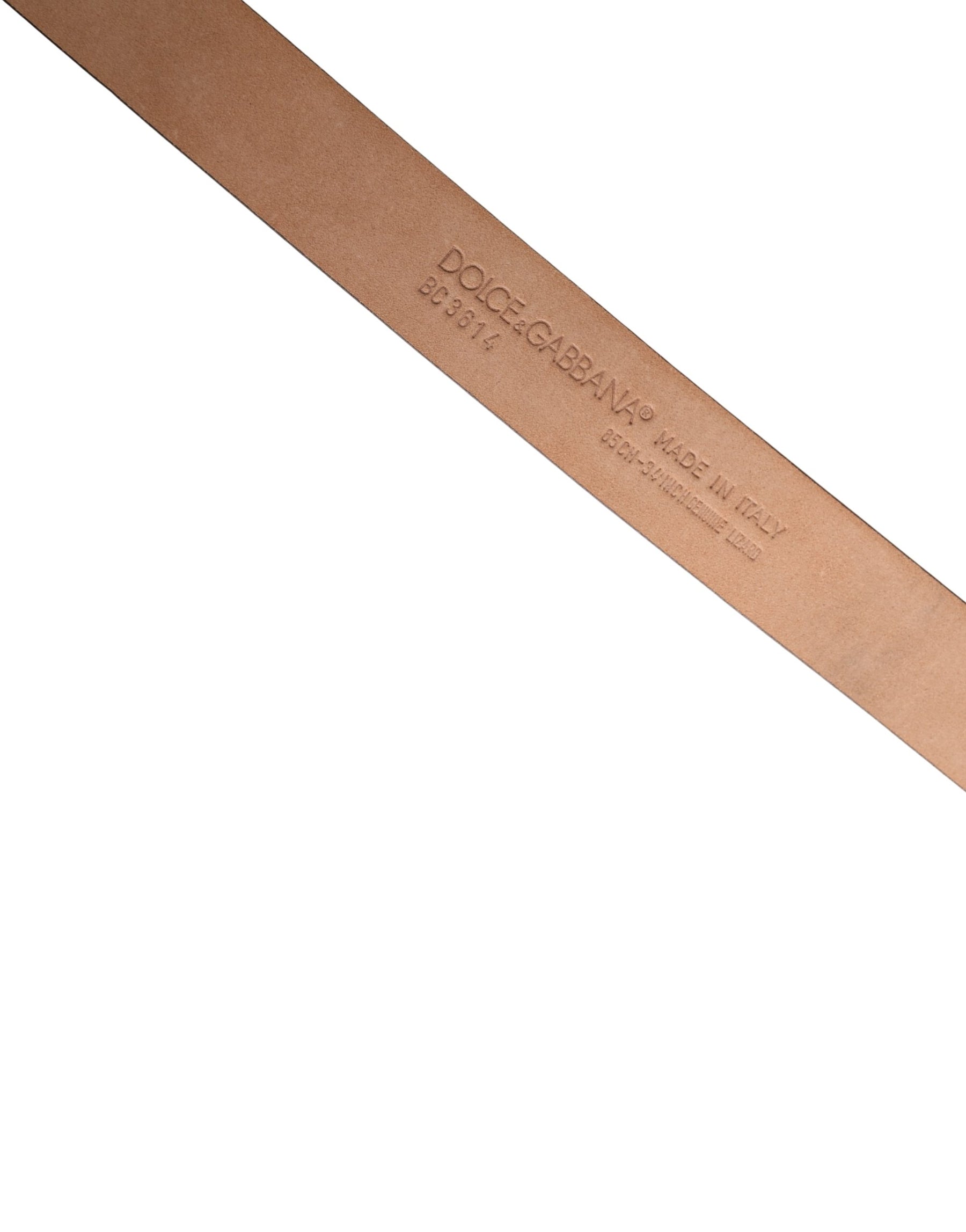 Dolce & Gabbana Men Brown Goatskin Leather Metal Buckle Belt | Regal Royce