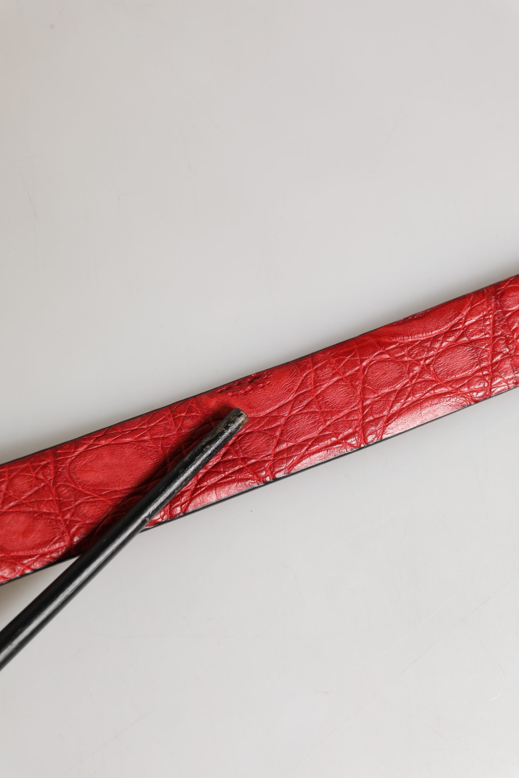 Dolce & Gabbana Men Red Exotic Leather Metal Buckle Belt | Regal Royce
