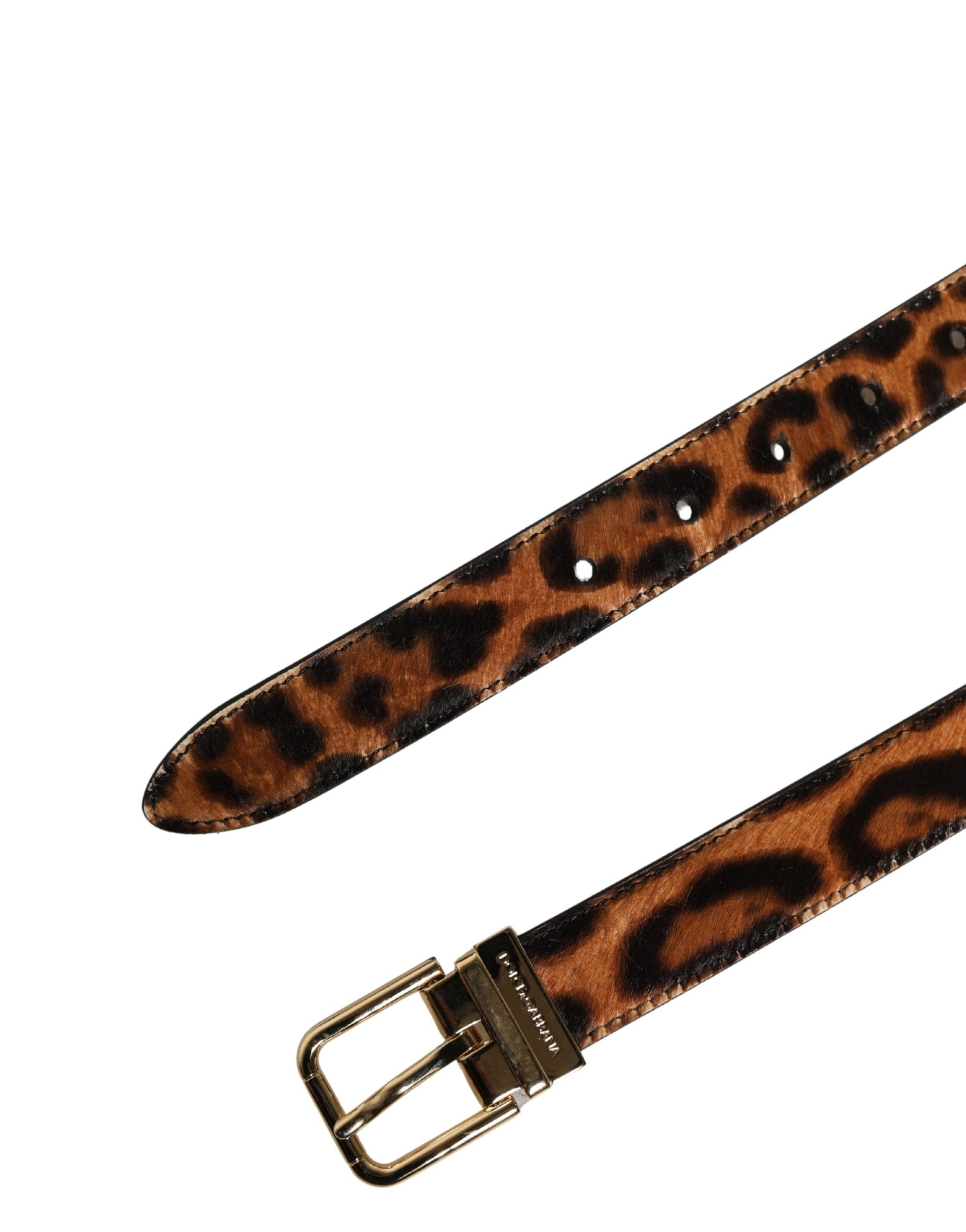 Dolce & Gabbana Brown Calf Fur Leopard Metal Buckle Belt | Regal Royce