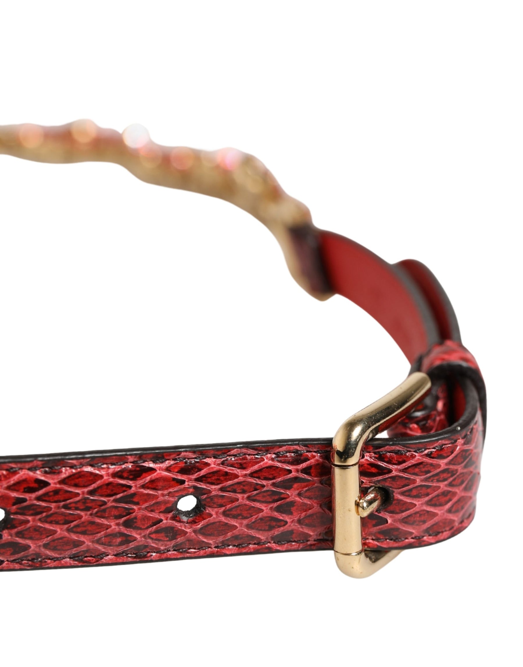 Dolce & Gabbana Red Leather Daisy Crystal Embellished Waist Belt | Regal Royce