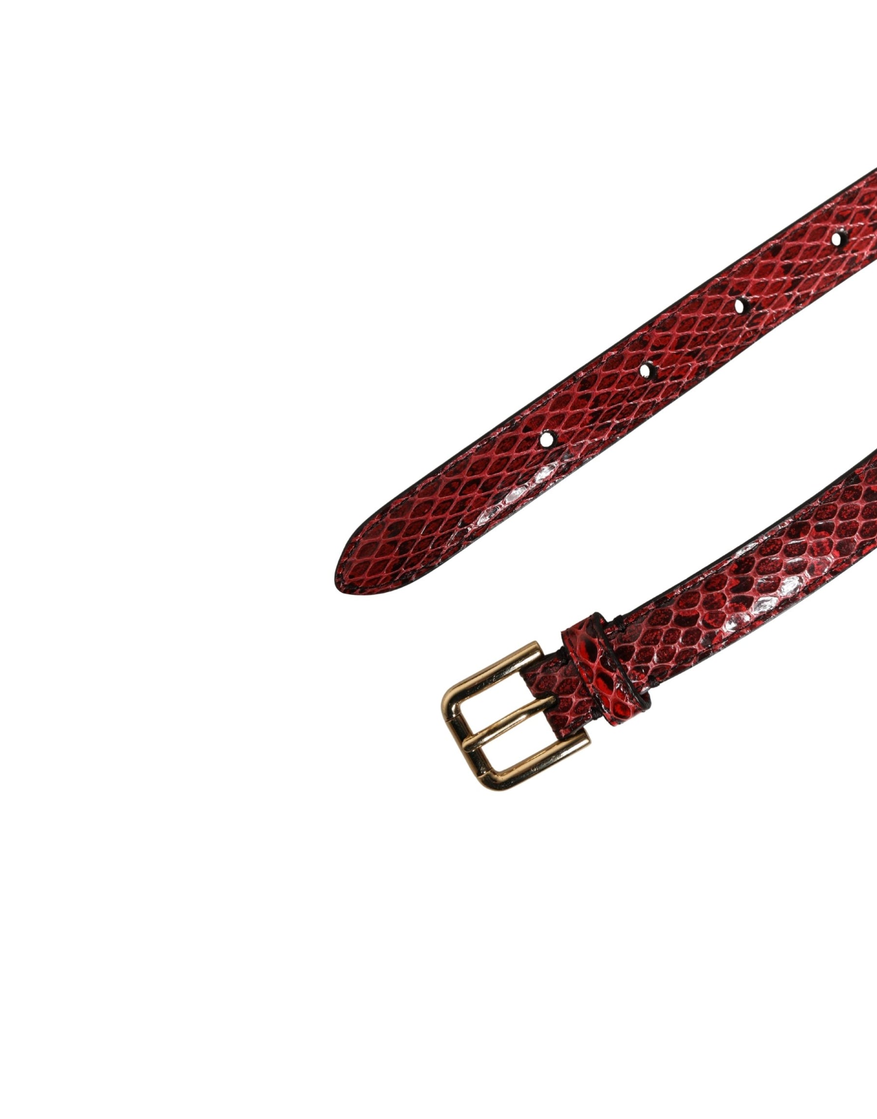 Dolce & Gabbana Red Leather Daisy Crystal Embellished Waist Belt | Regal Royce