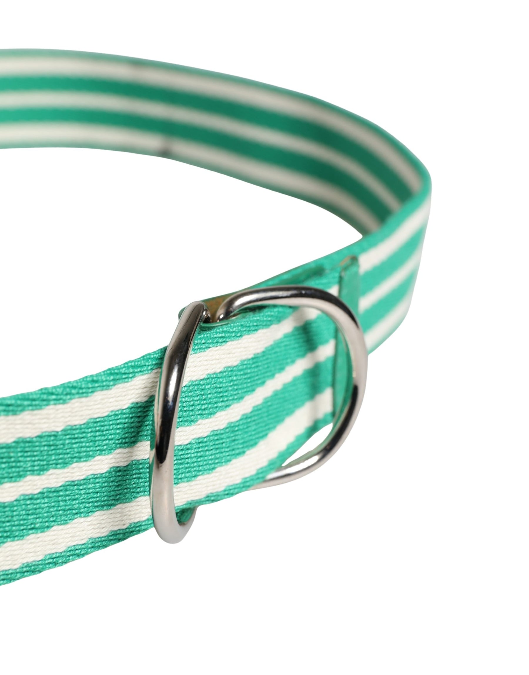 Red Valentino White Green Stripes Canvas Silver Metal Buckle Belt | Regal Royce