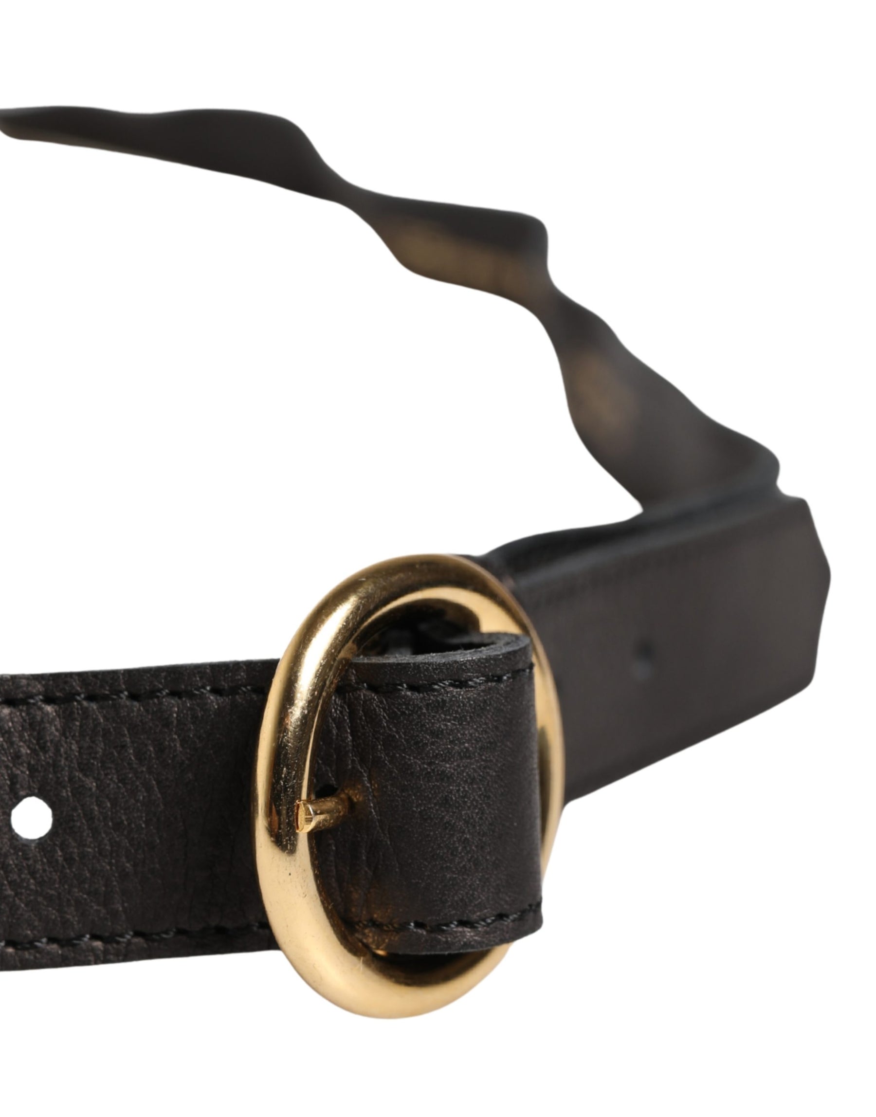 Cavalli Class Multicolor Floral Wide Waist Gold Metal Buckle Cintura Belt | Regal Royce