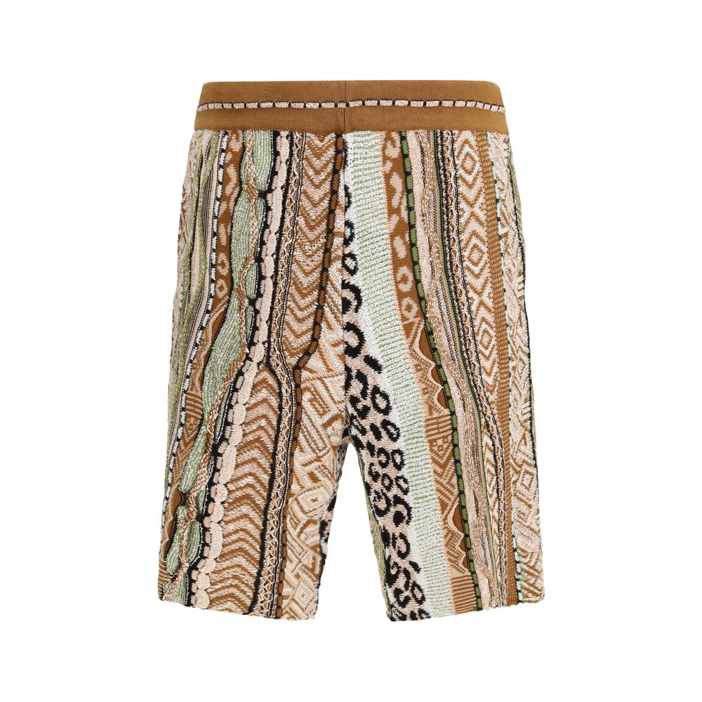 Laneus Multicolor Cotton Bermuda Shorts | Regal Royce