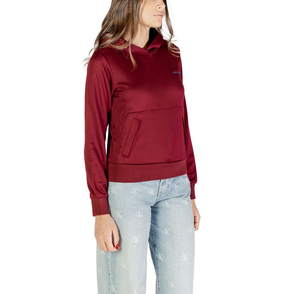 Calvin Klein Bordeaux Cotton Hoodie | Regal Royce