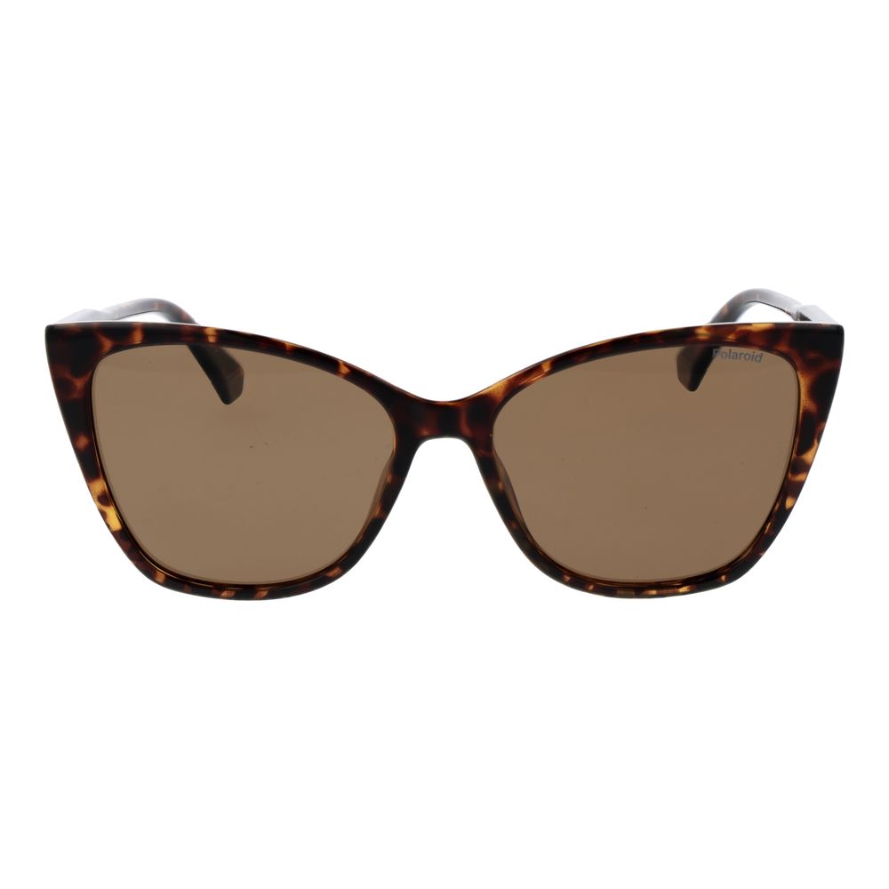 Polaroid Brown Polycarbonate Sunglasses | Regal Royce