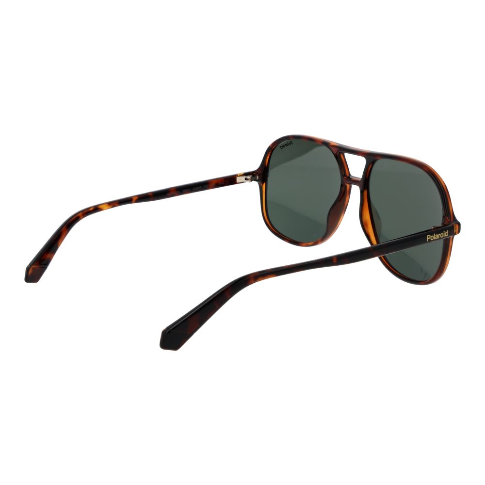 Polaroid Brown Polycarbonate Sunglasses | Regal Royce