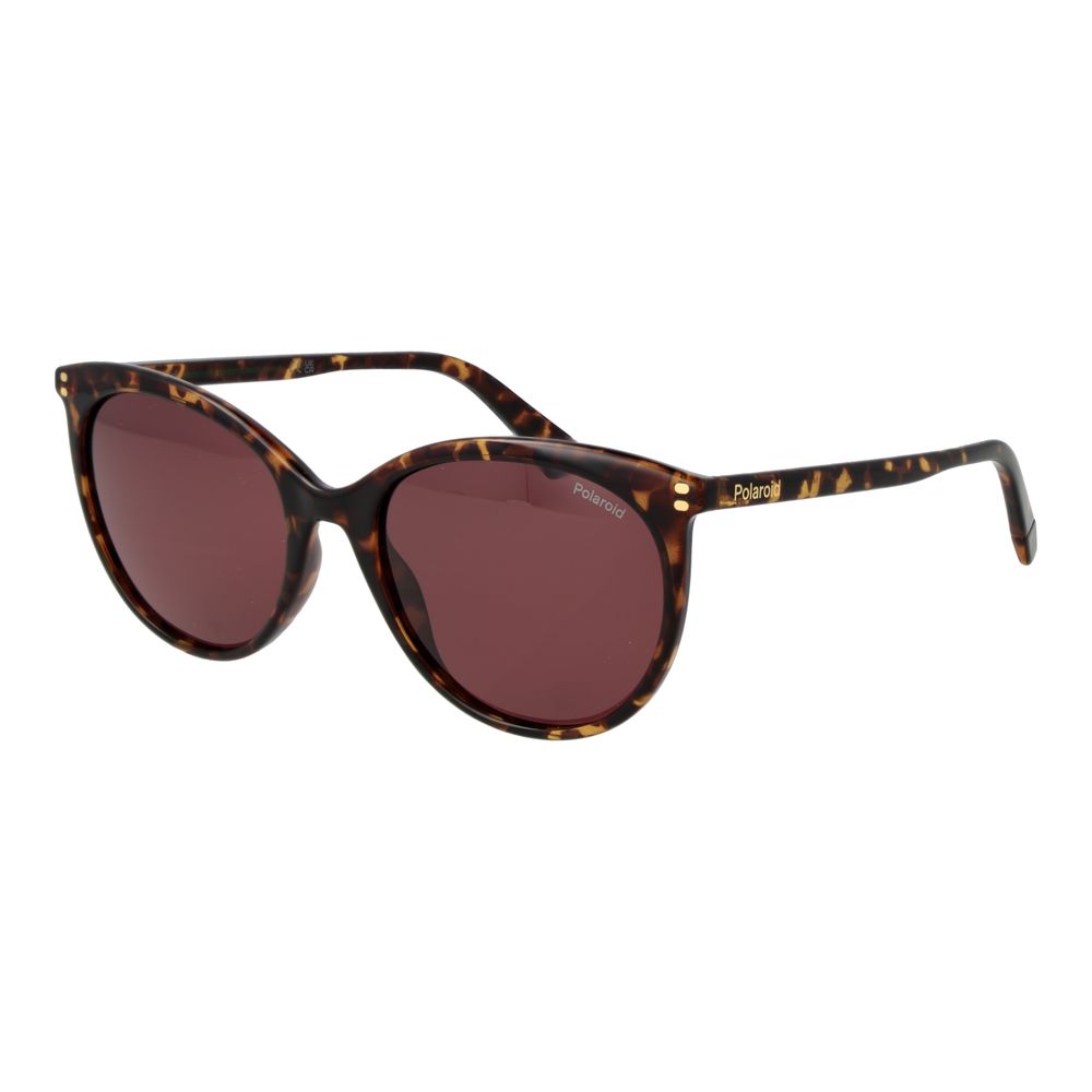 Polaroid Brown Polycarbonate Sunglasses | Regal Royce