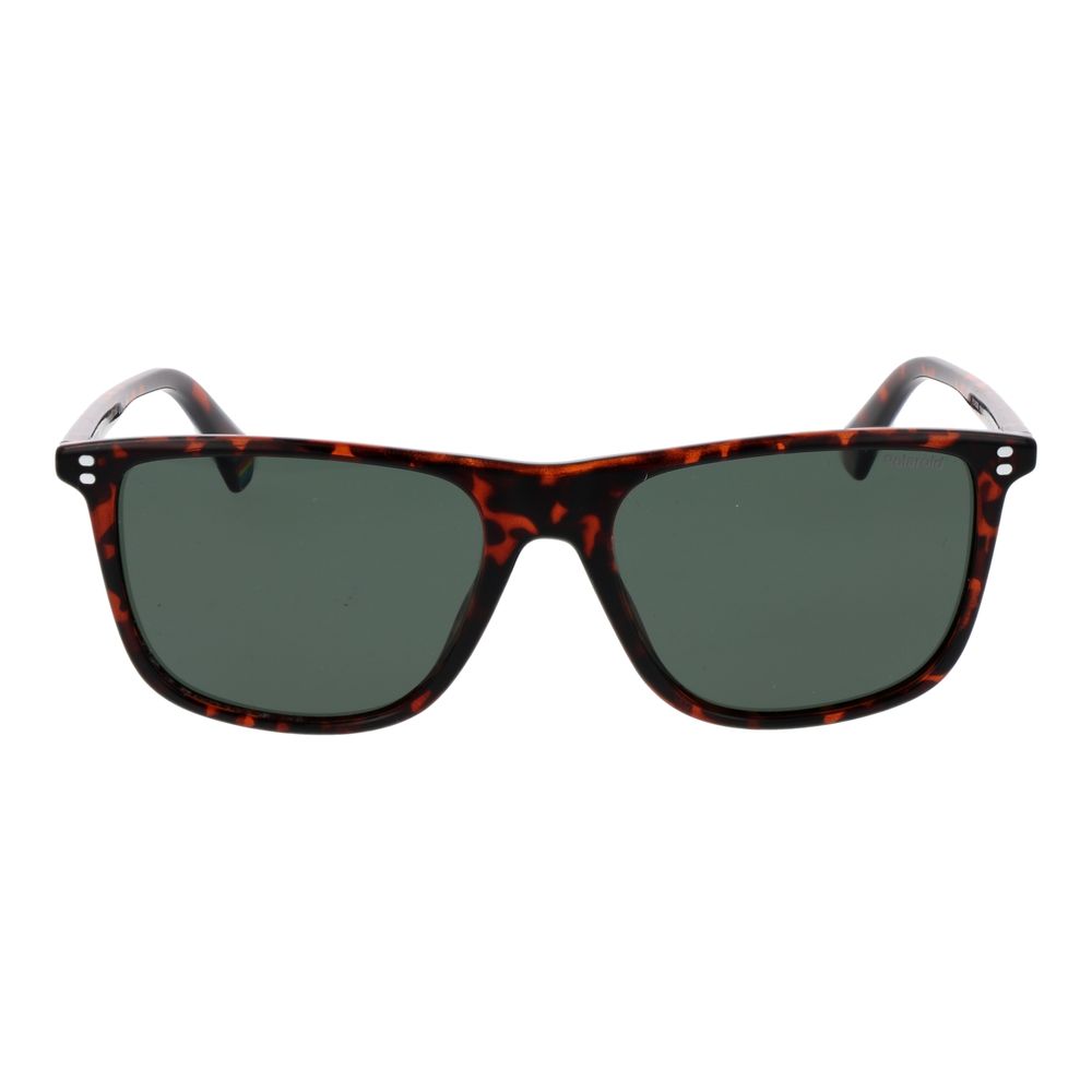 Polaroid Brown Polycarbonate Sunglasses | Regal Royce