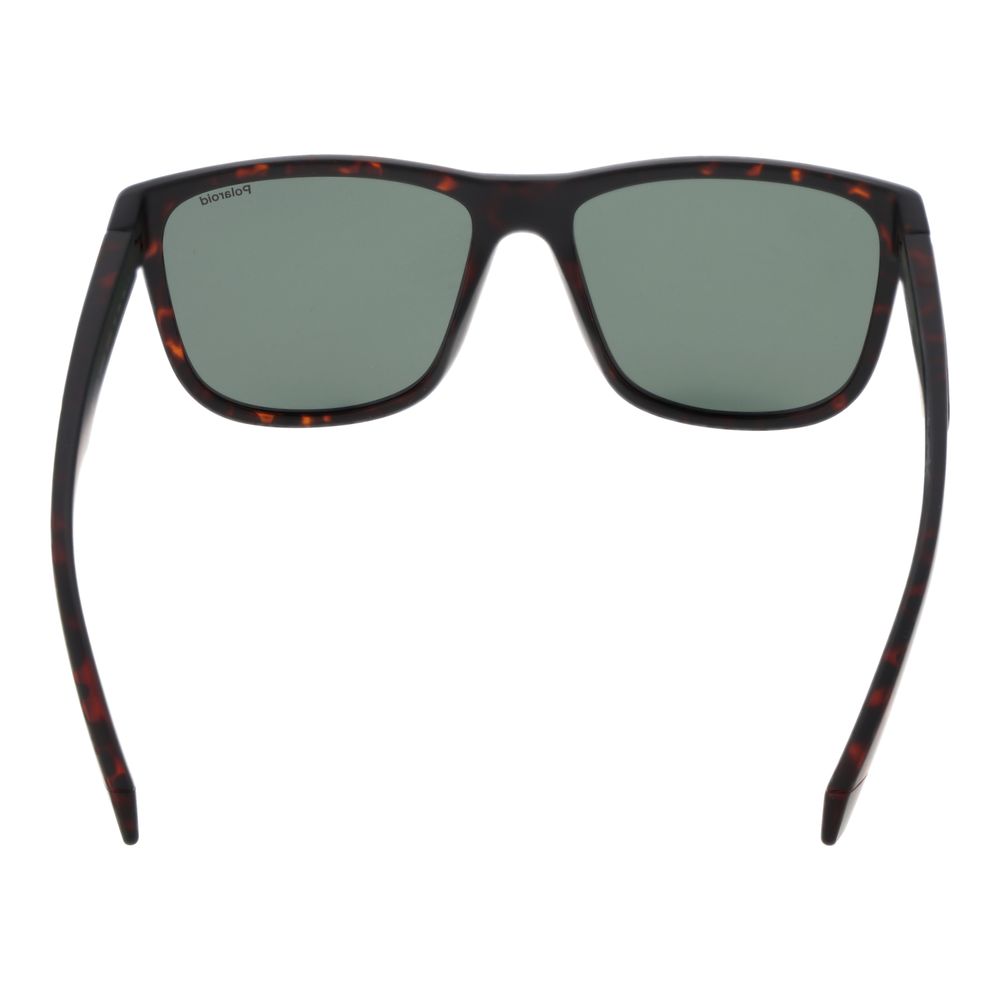 Polaroid Brown Plastic Sunglasses | Regal Royce