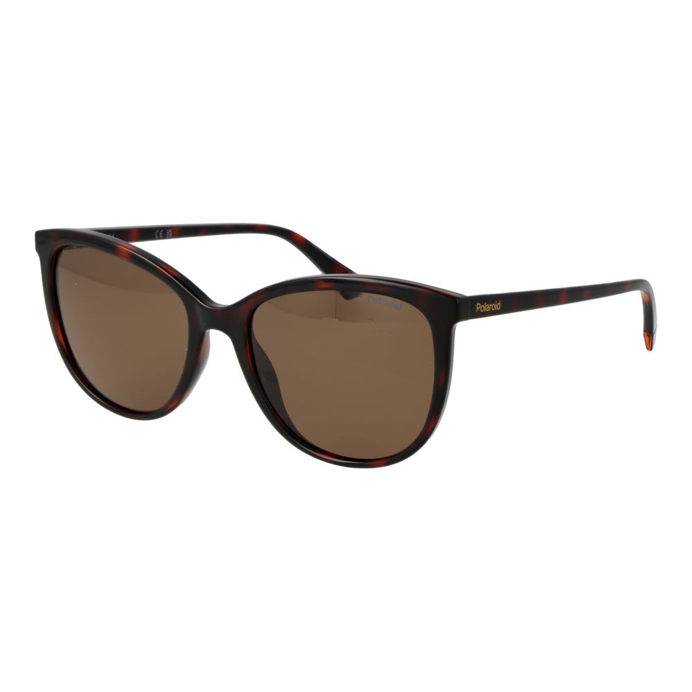 Polaroid Brown Plastic Sunglasses | Regal Royce