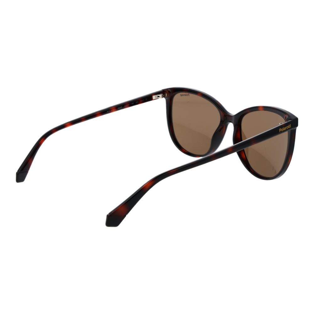 Polaroid Brown Plastic Sunglasses | Regal Royce