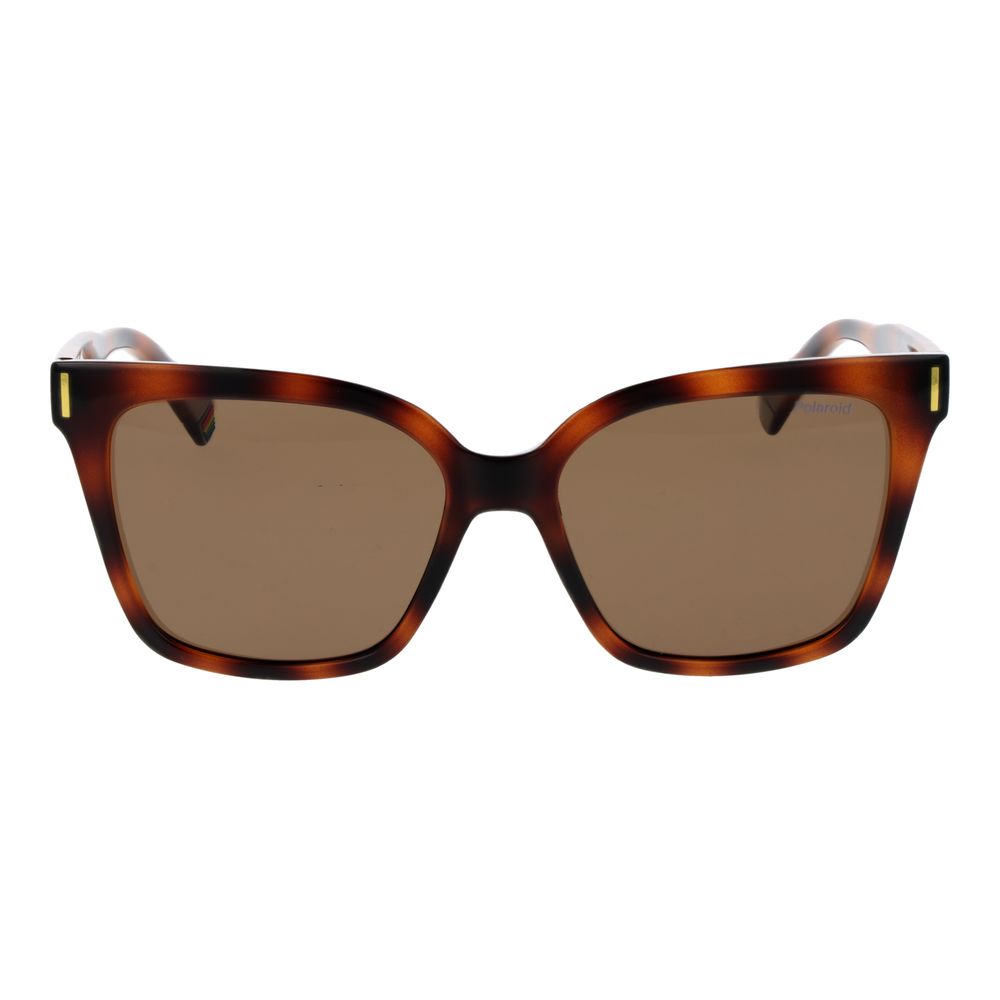 Polaroid Brown Plastic Sunglasses | Regal Royce
