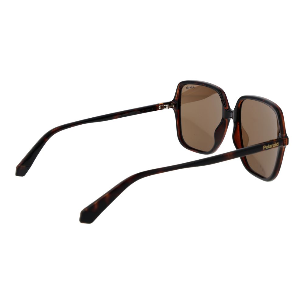 Polaroid Brown Plastic Sunglasses | Regal Royce