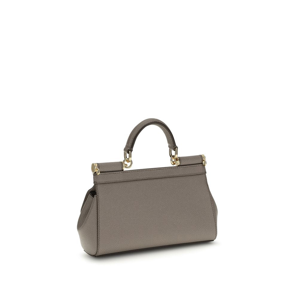 Dolce & Gabbana Gray Calf Leather Bos Taurus Handbag | Regal Royce
