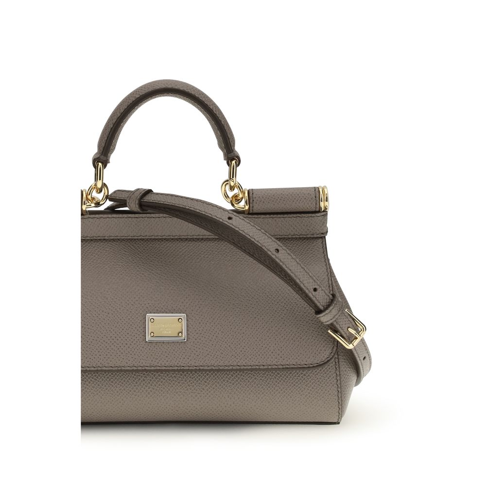 Dolce & Gabbana Gray Calf Leather Bos Taurus Handbag | Regal Royce