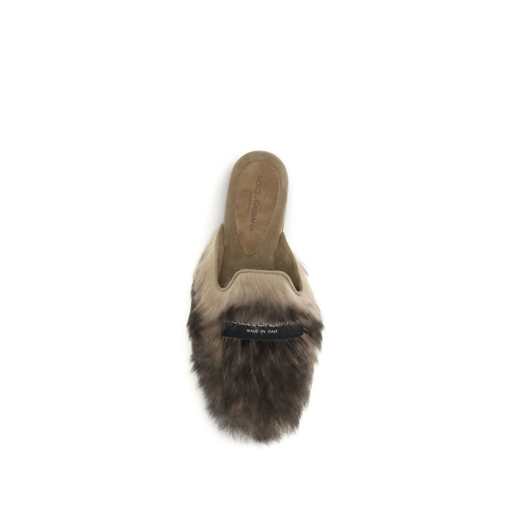 Dolce & Gabbana Gray Lamb Ovis Aries Aries Mules | Regal Royce