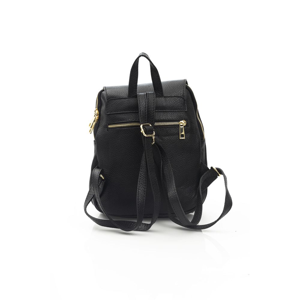 Baldinini Trend Black Cowhide Crossbody Bag | Regal Royce