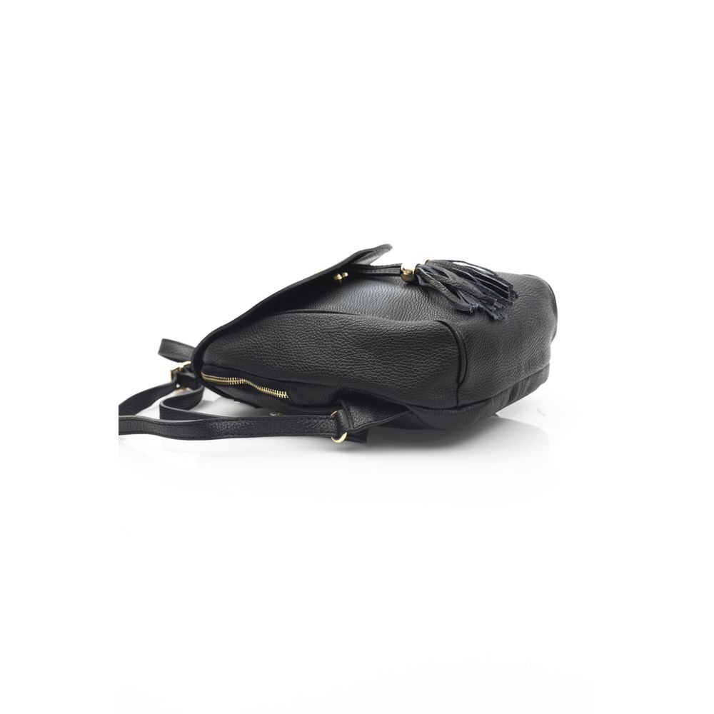 Baldinini Trend Black Cowhide Crossbody Bag | Regal Royce