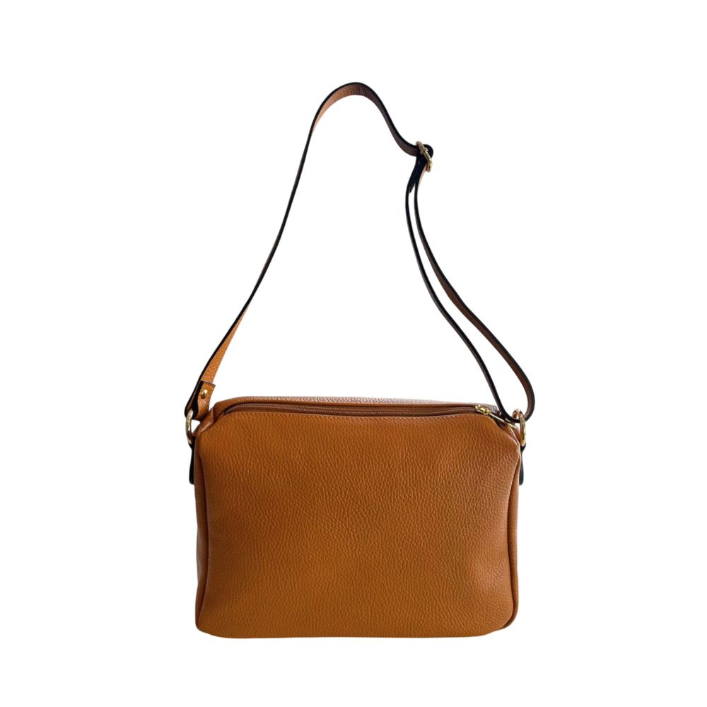 Baldinini Trend Brown Cowhide Crossbody Bag | Regal Royce