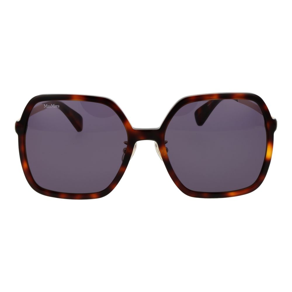 Max Mara Brown Acetate Sunglasses | Regal Royce
