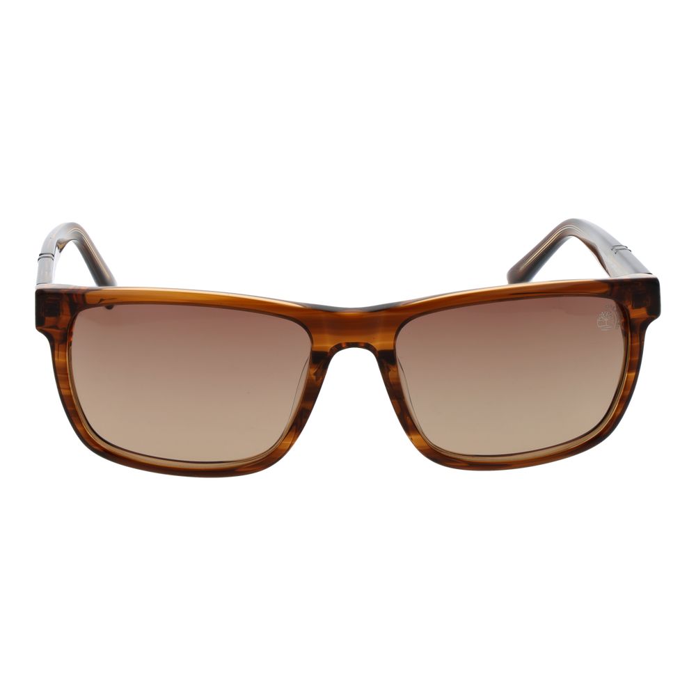 Timberland Brown Acetate Sunglasses | Regal Royce