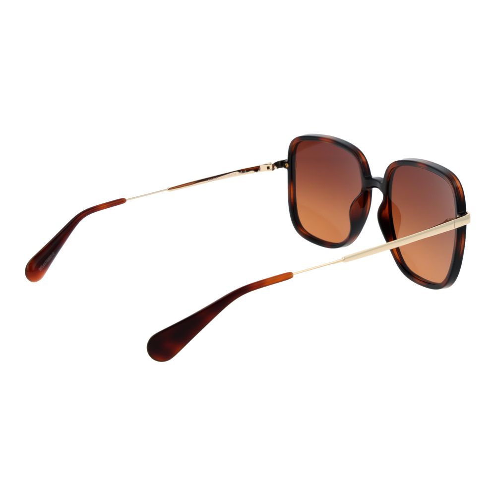 Max & Co Brown Plastic Sunglasses | Regal Royce