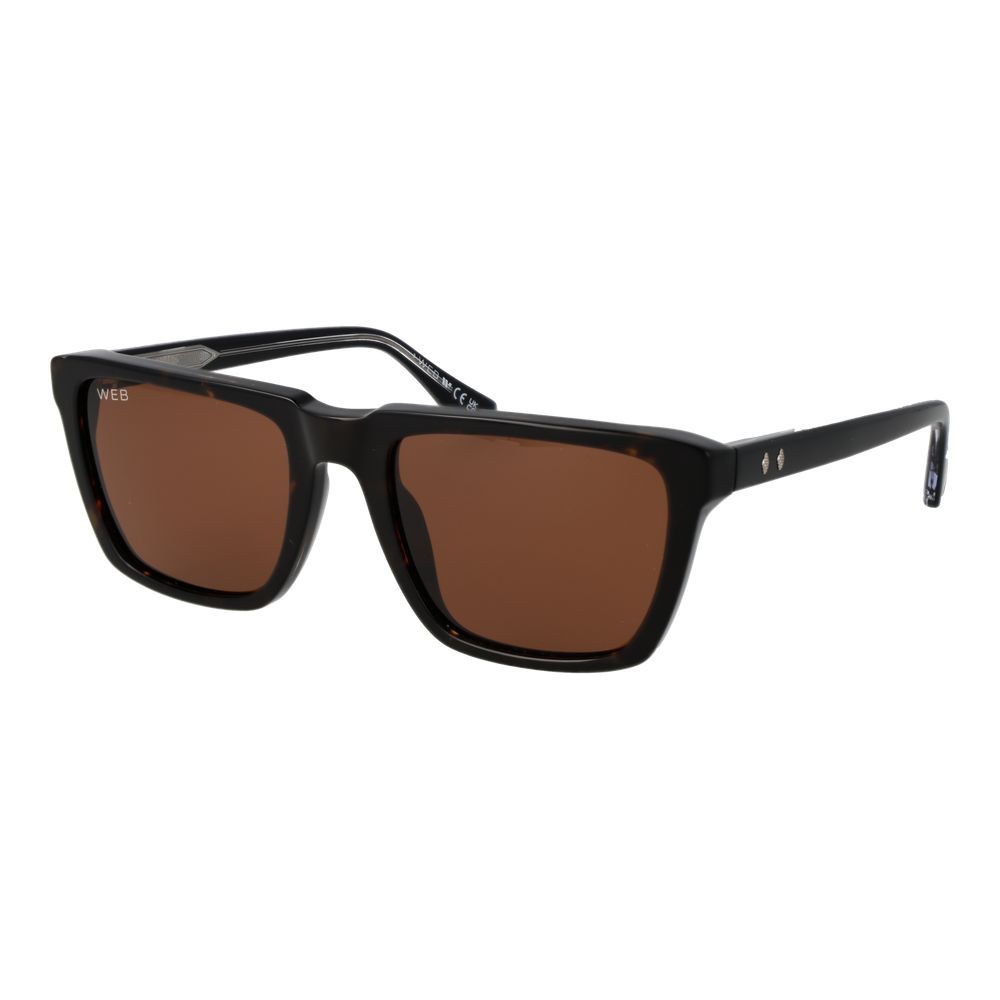 Web Black Acetate Sunglasses | Regal Royce