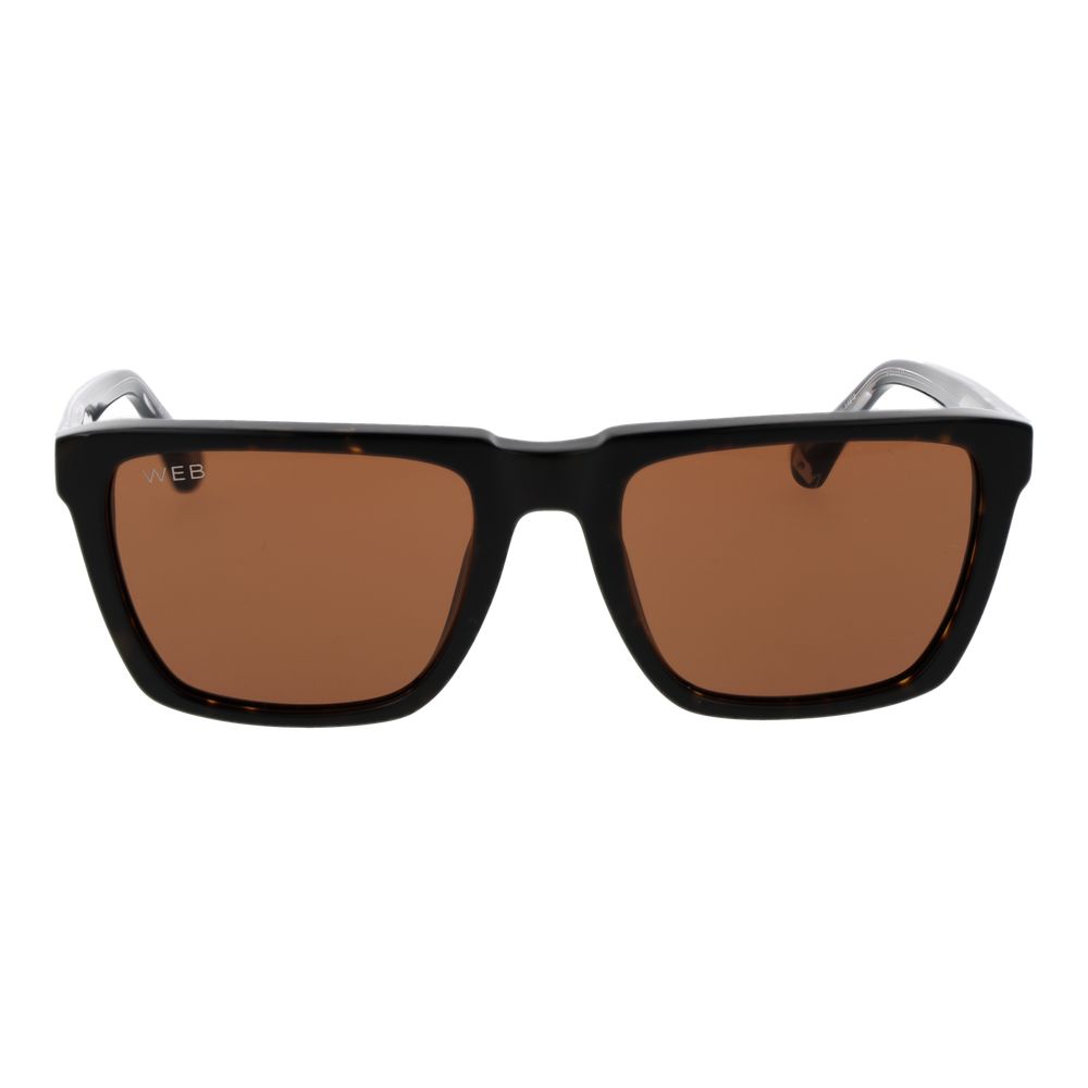 Web Black Acetate Sunglasses | Regal Royce