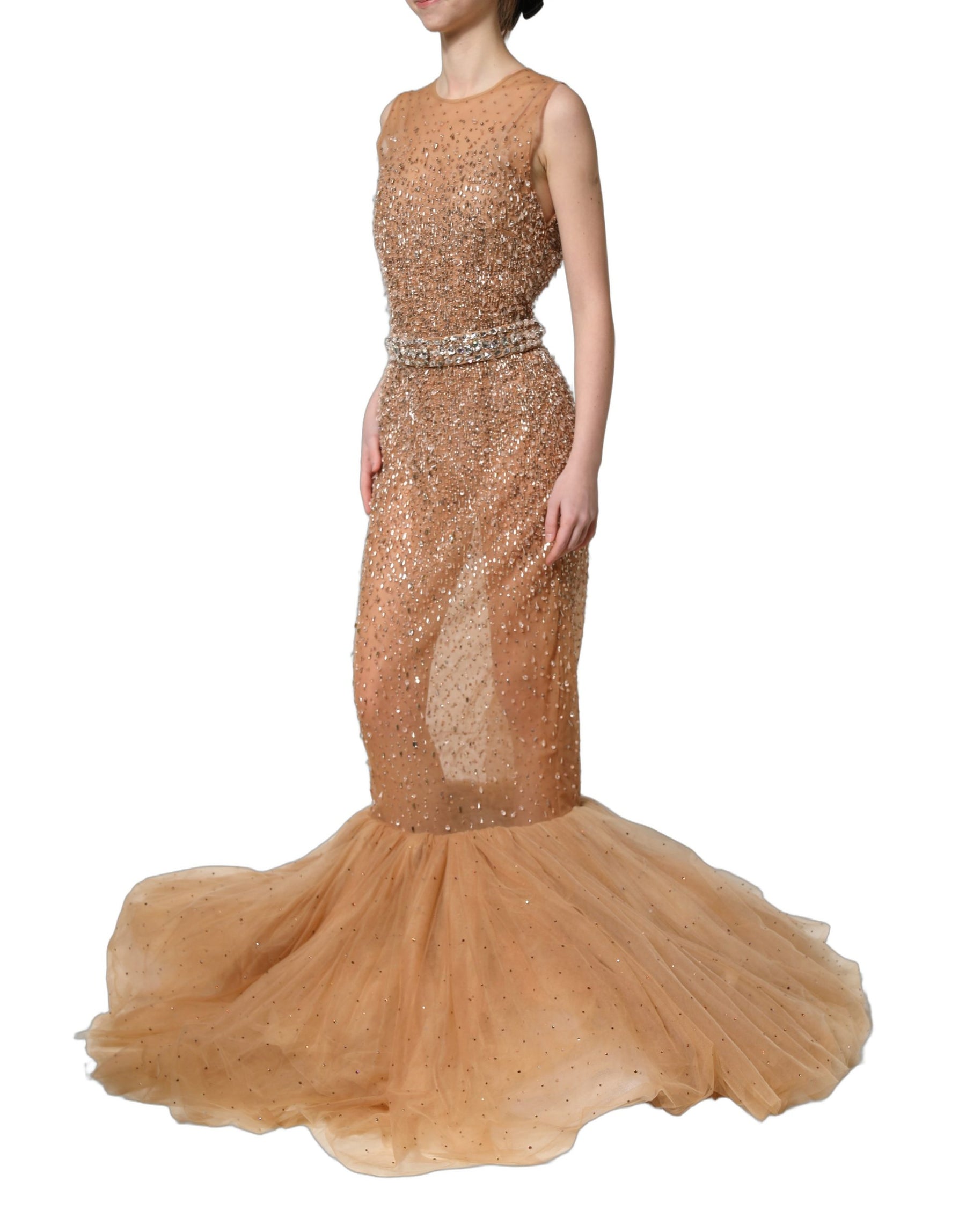 Dolce & Gabbana Brown Crystal Embellished Mermaid Gown Dress | Regal Royce