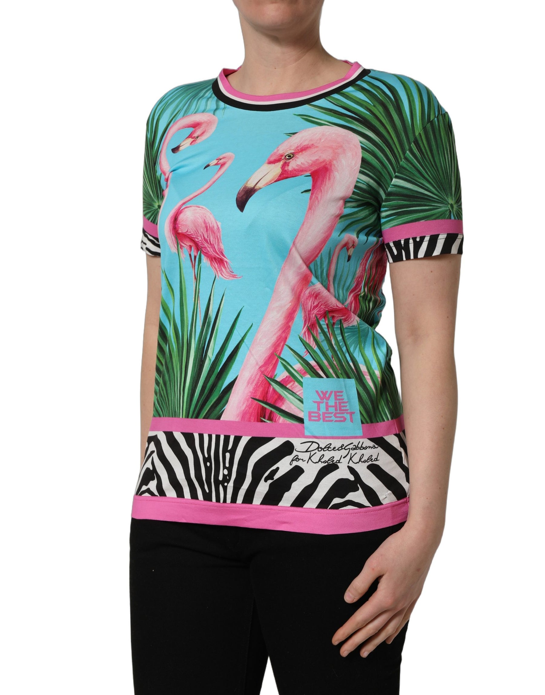 Dolce & Gabbana Multicolor Flamingo ZebraStriped Trim T-shirt | Regal Royce