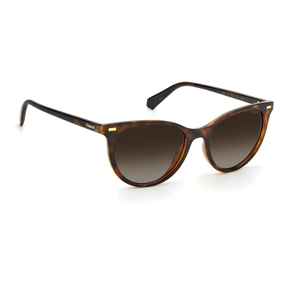 Polaroid Brown Resin Sunglasses | Regal Royce