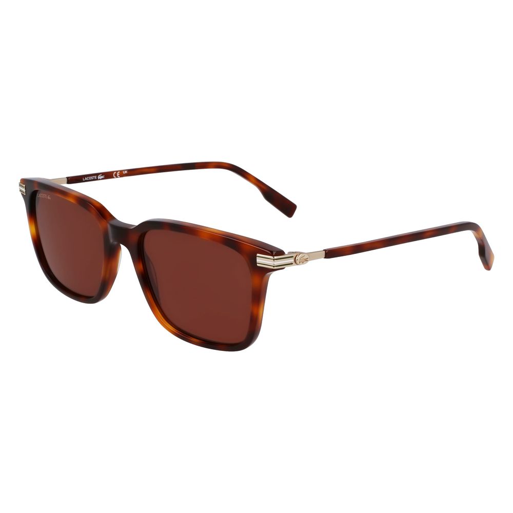 Lacoste Brown Acetate Sunglasses | Regal Royce