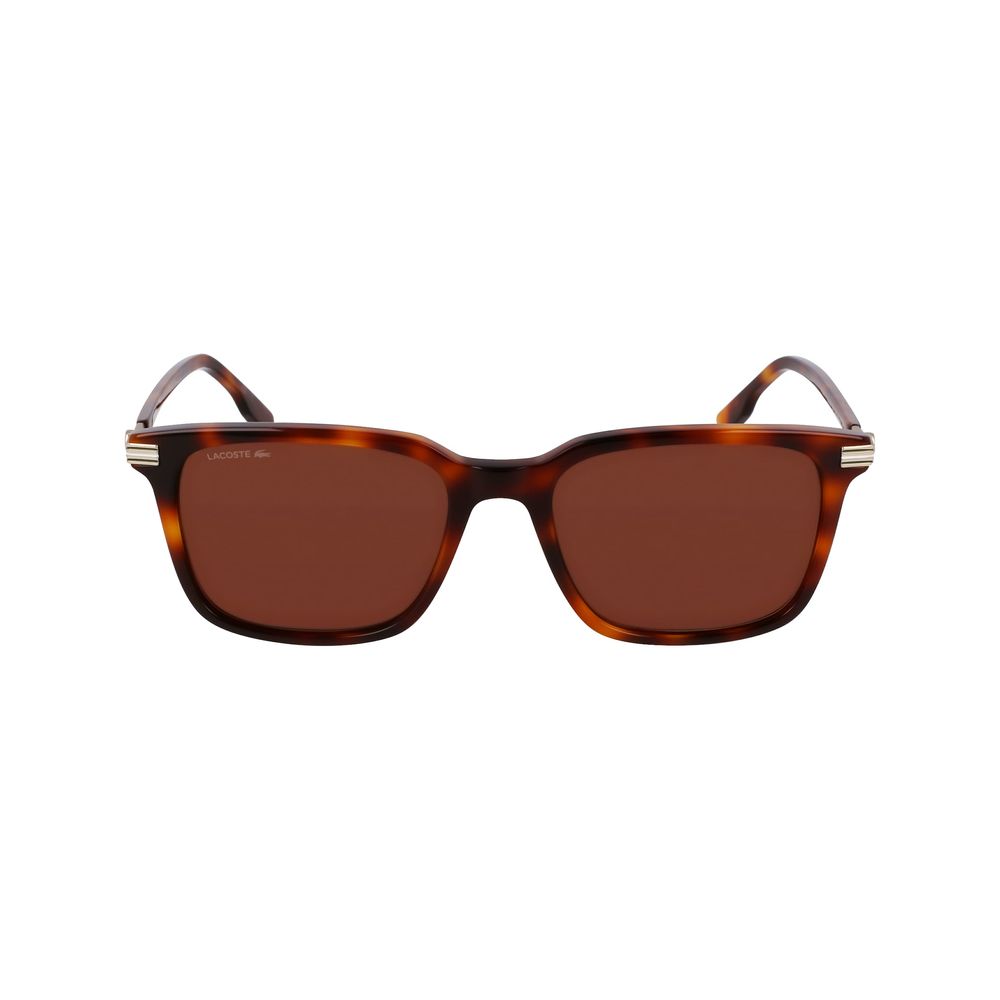 Lacoste Brown Acetate Sunglasses | Regal Royce