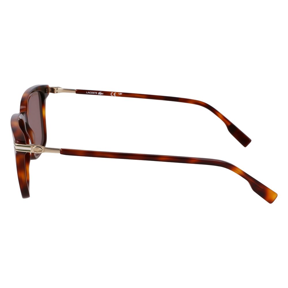Lacoste Brown Acetate Sunglasses | Regal Royce