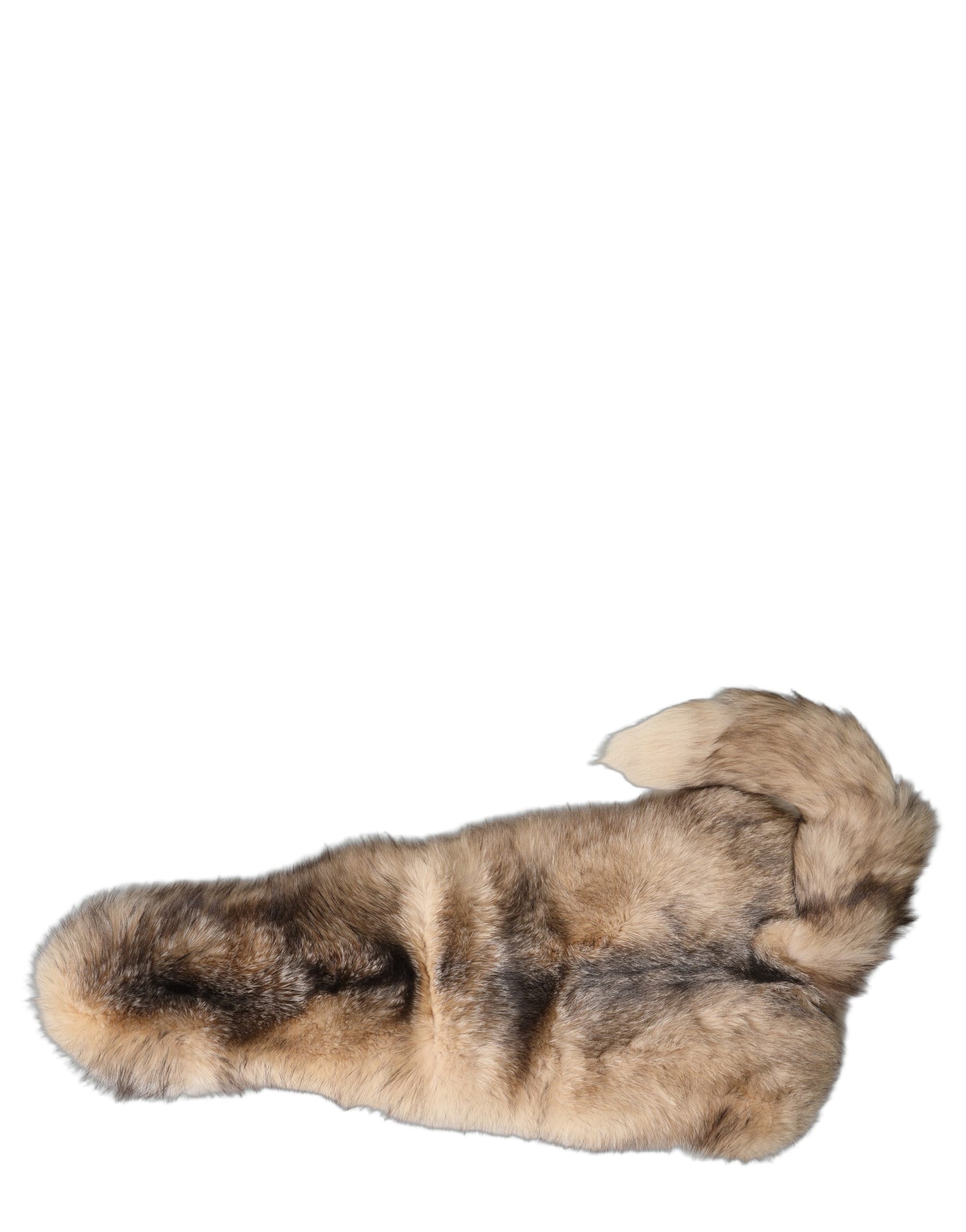 Dolce & Gabbana Brown Frost Fox Fur Neck Warmer Winter Scarf | Regal Royce