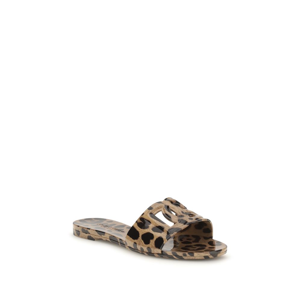 Dolce & Gabbana Multicolor Rubber Flat Sandals | Regal Royce