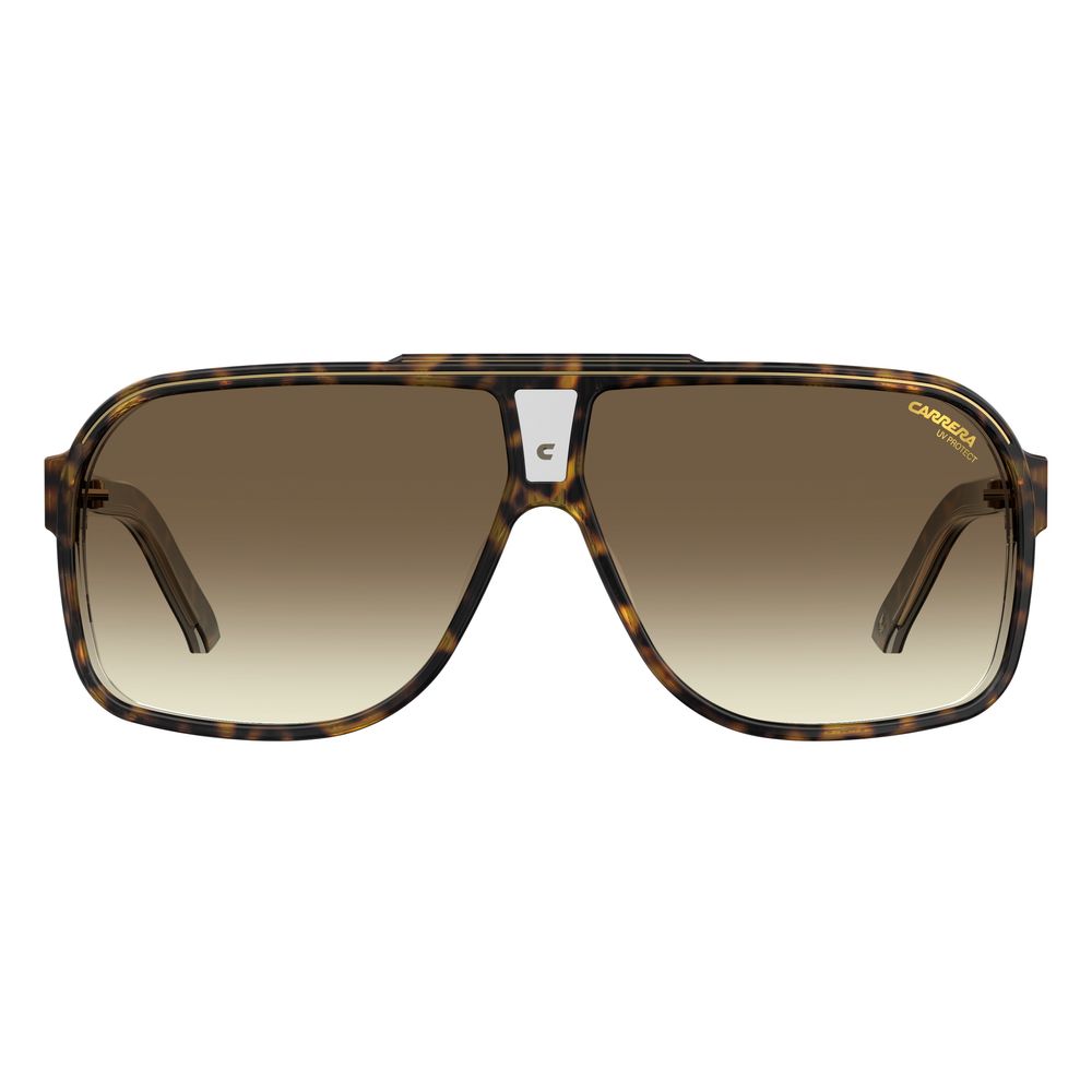 Carrera Brown Acetate Sunglasses | Regal Royce
