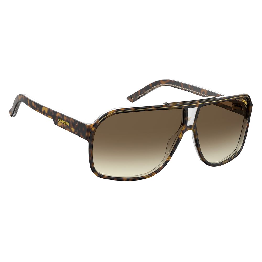 Carrera Brown Acetate Sunglasses | Regal Royce