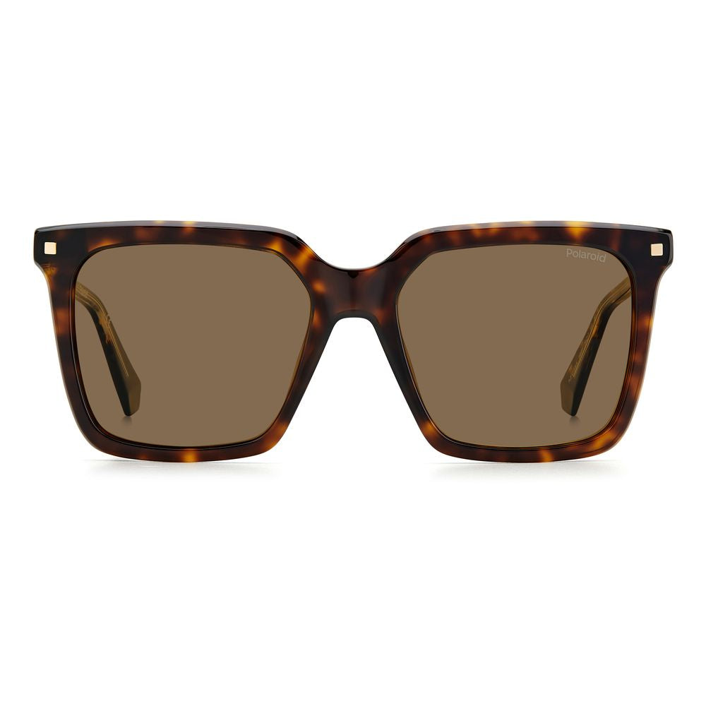 Polaroid Brown Acetate Sunglasses | Regal Royce