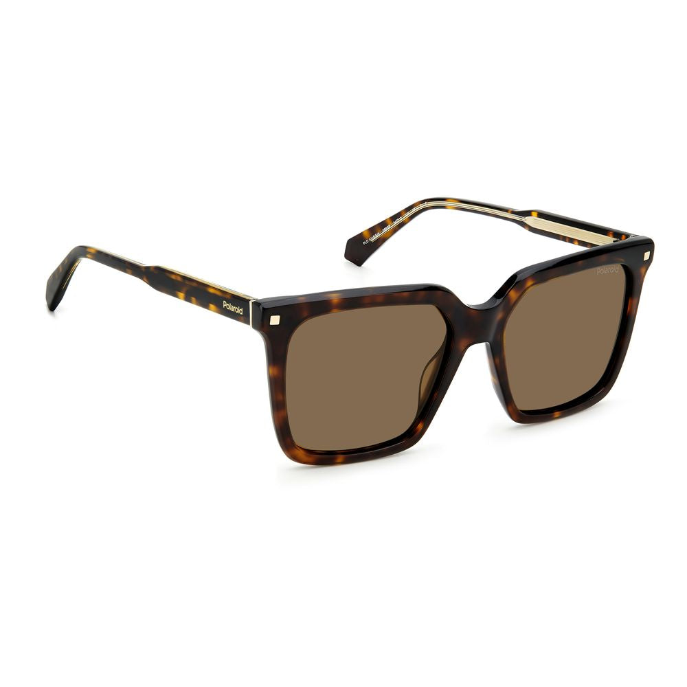 Polaroid Brown Acetate Sunglasses | Regal Royce