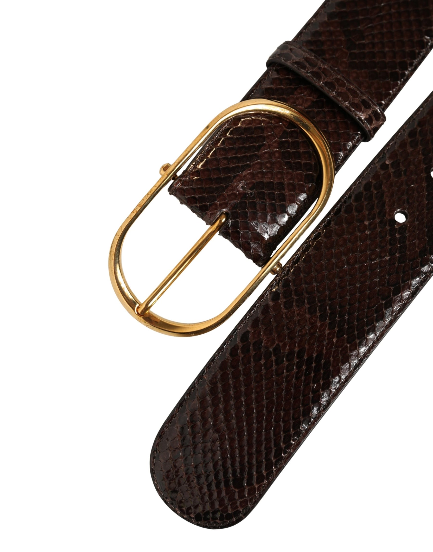 Dolce & Gabbana Brown Python Leather Gold Metal Buckle Belt | Regal Royce